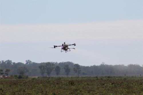 IMG 2988 (1)