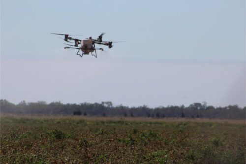 IMG 3022 (1)