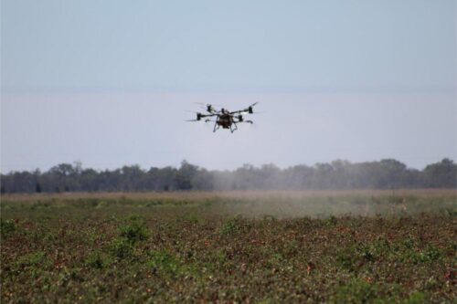 IMG 3029 (1)