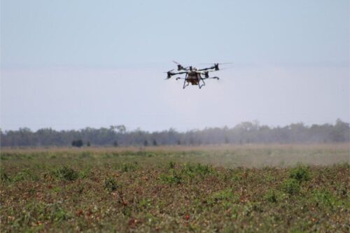 IMG 3030 (1)