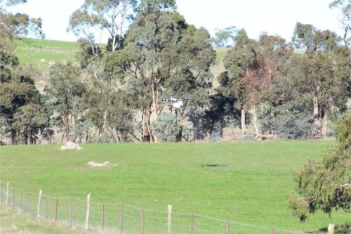 IMG 3098 (1)