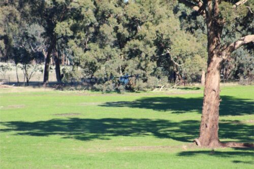 IMG 3100 (1)