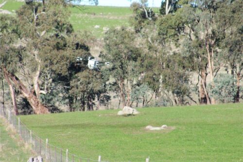 IMG 3104 (1)