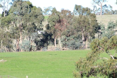 IMG 3105 (1)