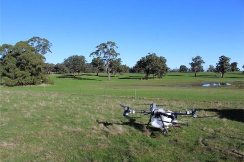IMG 3124 (1)