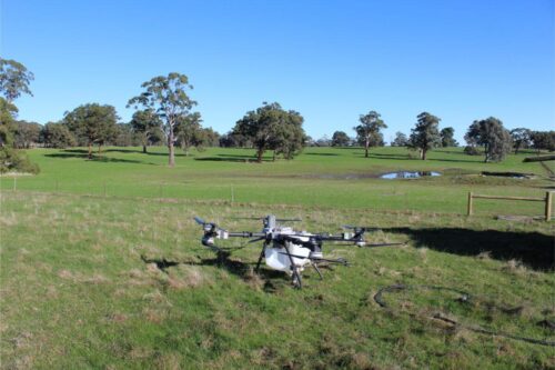 IMG 3125 (1)